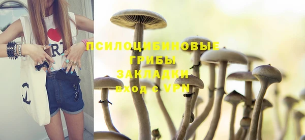 ешки Аркадак