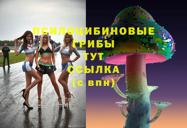 ешки Аркадак