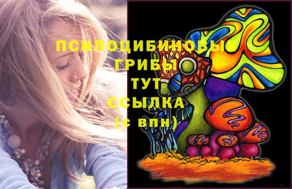 ешки Аркадак