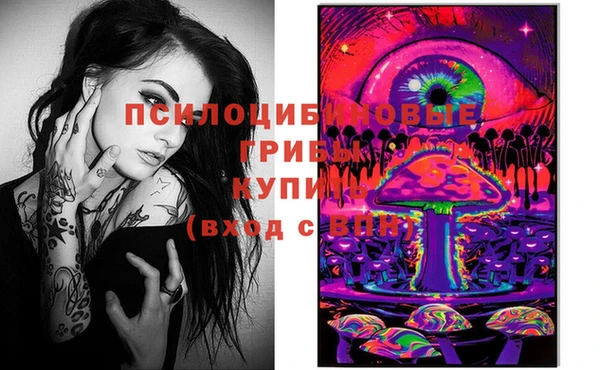 тгк Арсеньев